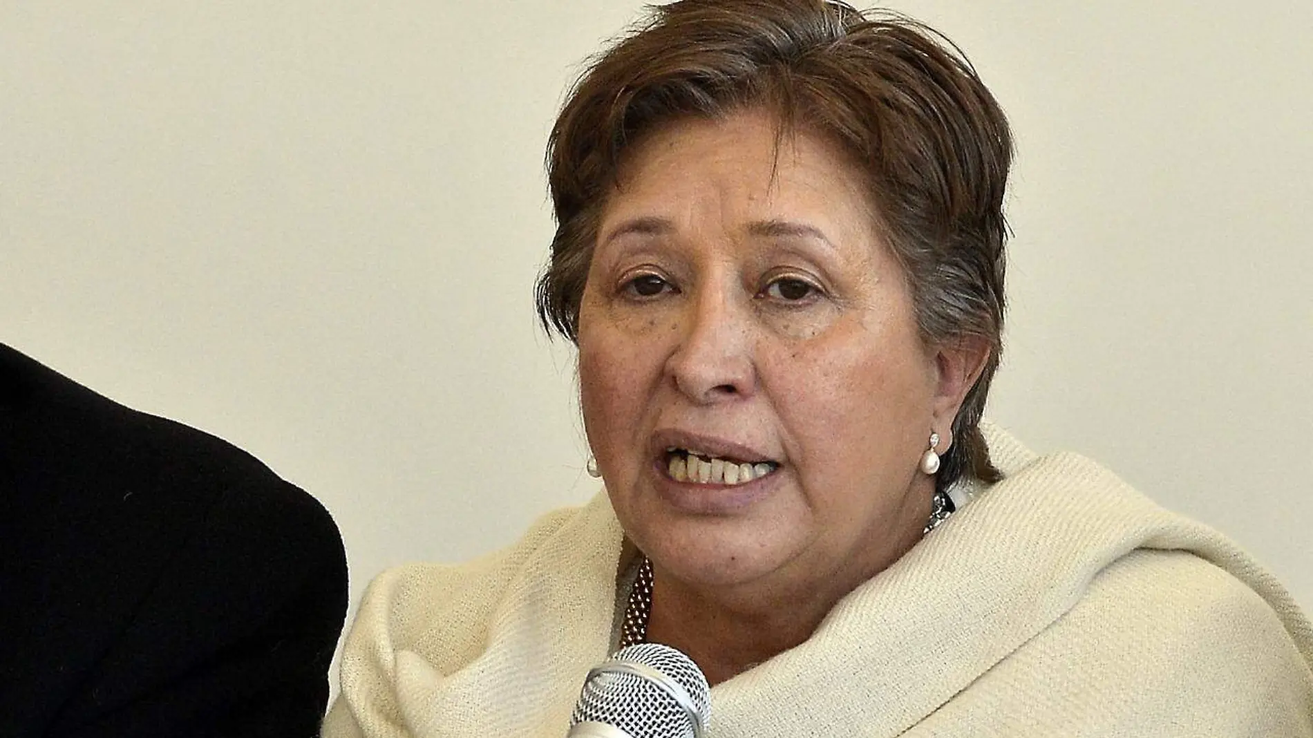 María de Lourdes Medina Ortega, presidenta de CONCAEM.